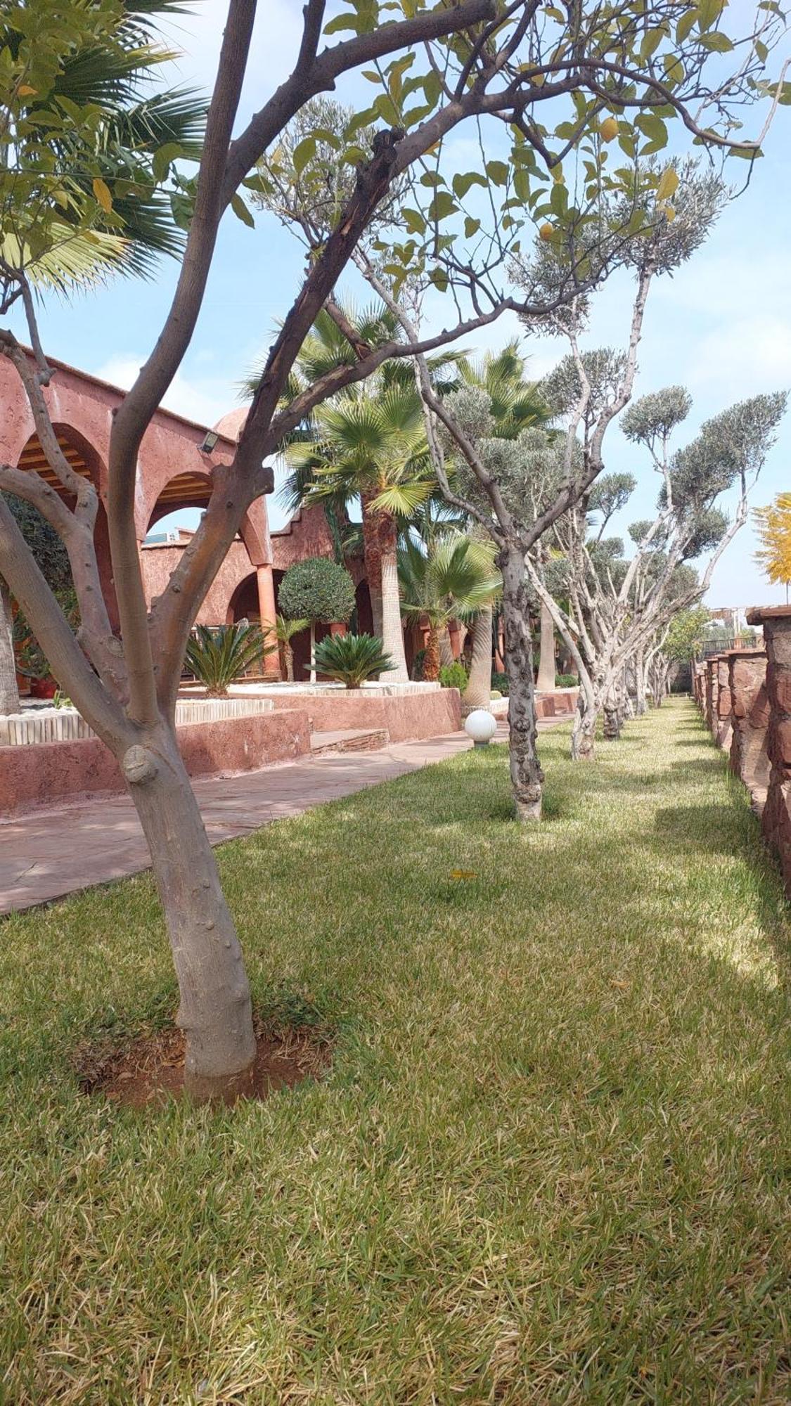 Chez Mamouchthka Bed & Breakfast Ourika Exterior photo